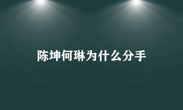 陈坤何琳为什么分手