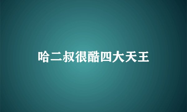 哈二叔很酷四大天王