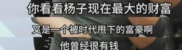 杨子黄圣依，到底还有多少财富