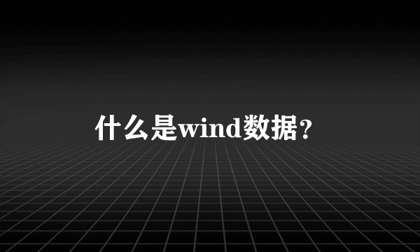 什么是wind数据？