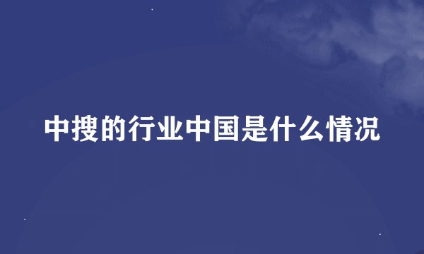 中搜的行业中国是什么情况