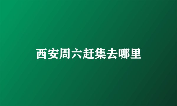 西安周六赶集去哪里