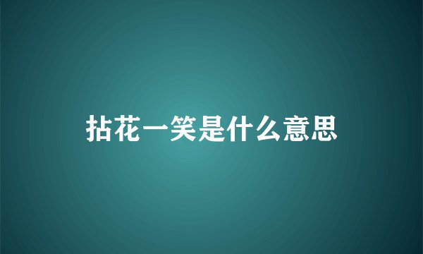 拈花一笑是什么意思