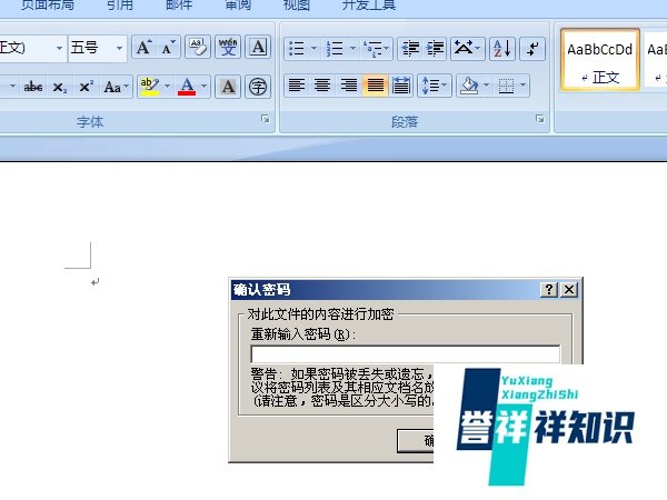 word2007文档加密的方法