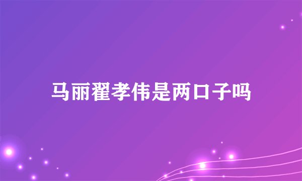 马丽翟孝伟是两口子吗