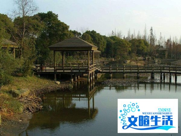 滨江森林公园游玩攻略