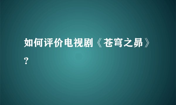 如何评价电视剧《苍穹之昴》？