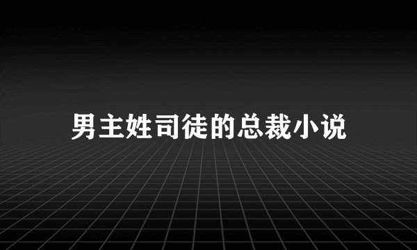 男主姓司徒的总裁小说