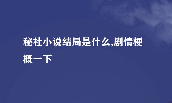 秘社小说结局是什么,剧情梗概一下