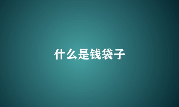 什么是钱袋子