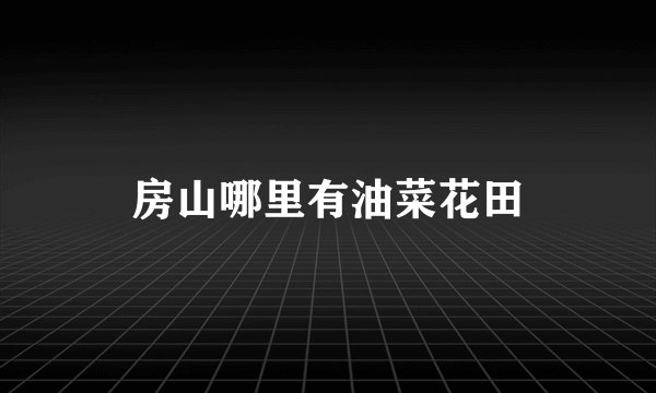 房山哪里有油菜花田