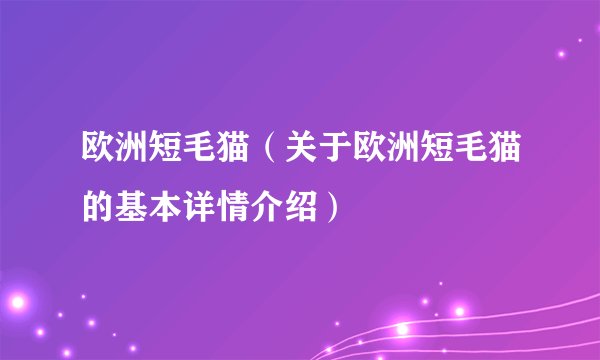 欧洲短毛猫（关于欧洲短毛猫的基本详情介绍）