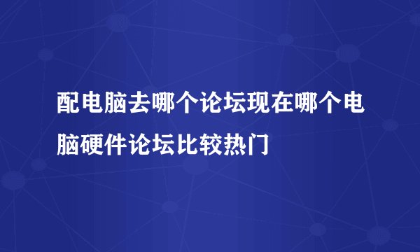 配电脑去哪个论坛现在哪个电脑硬件论坛比较热门