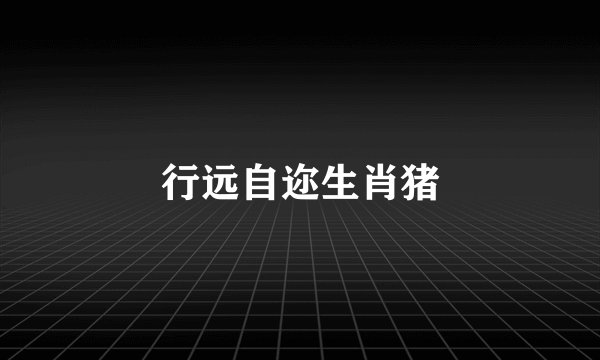 行远自迩生肖猪