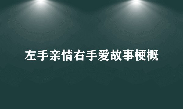 左手亲情右手爱故事梗概