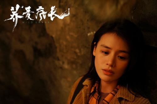 《荞麦疯长》讲的是什么故事?