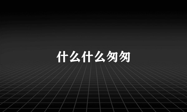 什么什么匆匆