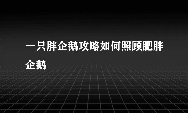 一只胖企鹅攻略如何照顾肥胖企鹅
