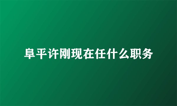 阜平许刚现在任什么职务