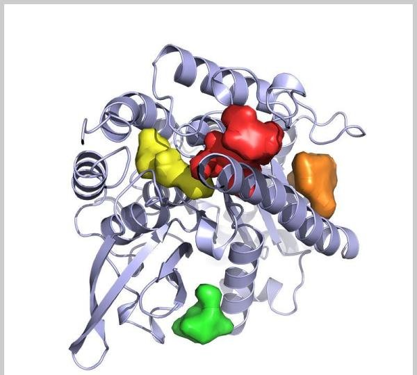 分子动力学