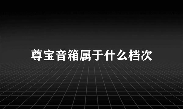 尊宝音箱属于什么档次