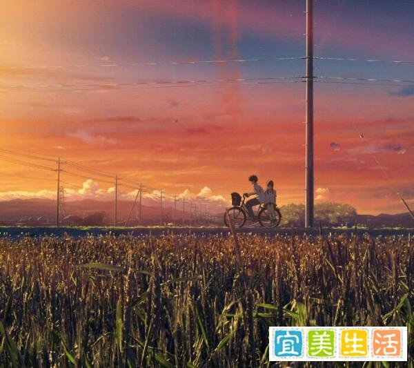 “有人骂你野心勃勃 有人爱你灵魂如火”