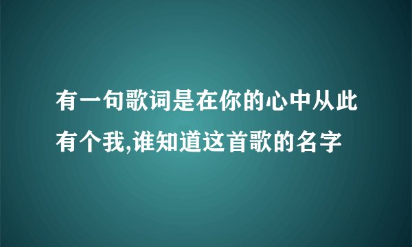 有一句歌词是在你的心中从此有个我,谁知道这首歌的名字