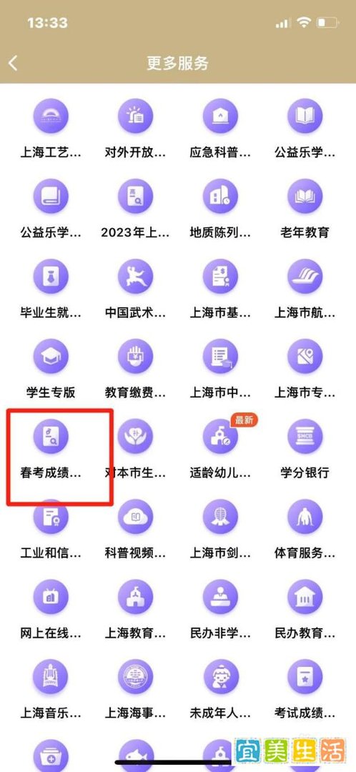 上海市春考成绩怎么查询