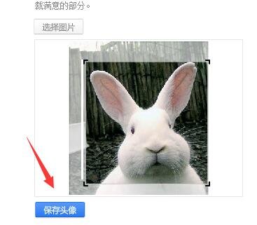 百度贴吧不可以自由换头像吗？