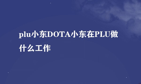 plu小东DOTA小东在PLU做什么工作