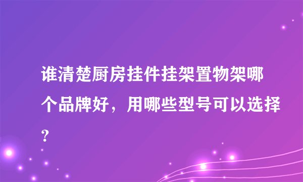 谁清楚厨房挂件挂架置物架哪个品牌好，用哪些型号可以选择？