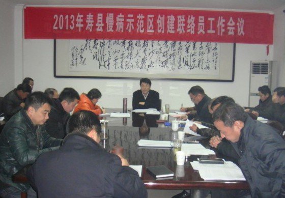 寿县卫生局的主要职责