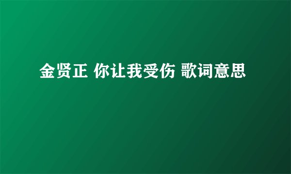 金贤正 你让我受伤 歌词意思