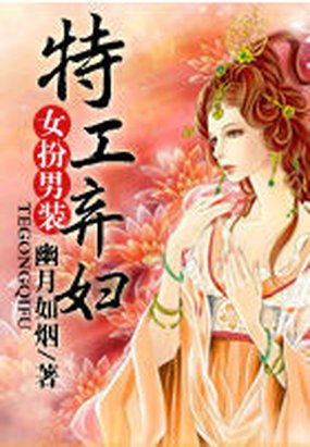 特工弃妇的内容简介