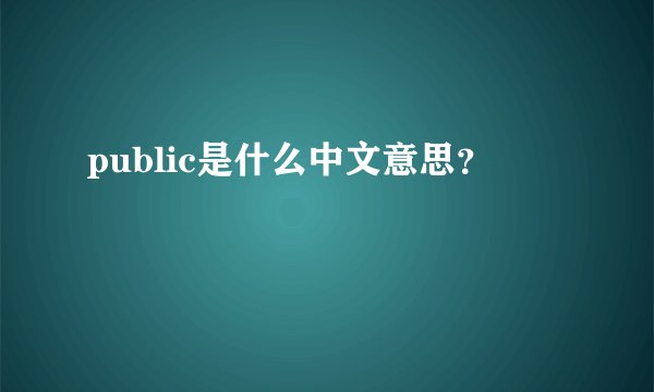 public是什么中文意思?