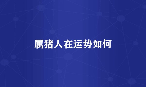 属猪人在运势如何