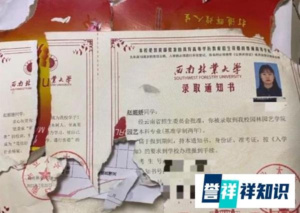 录取通知书被狗狗咬碎，还能去学校报到吗？大一女生崩溃求支招
