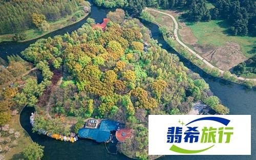 上海植物园旅游攻略