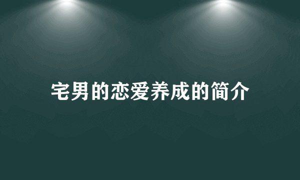宅男的恋爱养成的简介