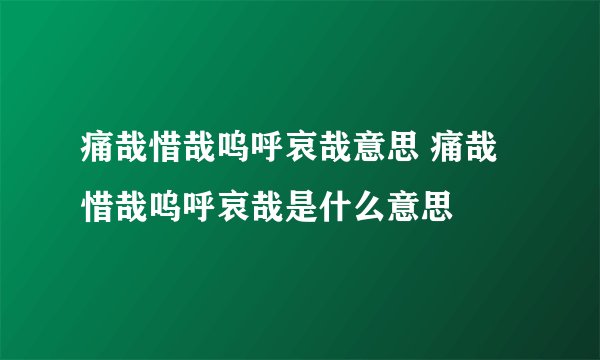 痛哉惜哉呜呼哀哉意思 痛哉惜哉呜呼哀哉是什么意思
