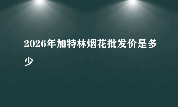 2026年加特林烟花批发价是多少