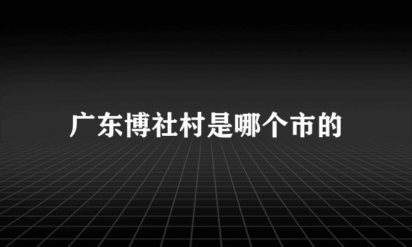 广东博社村是哪个市的