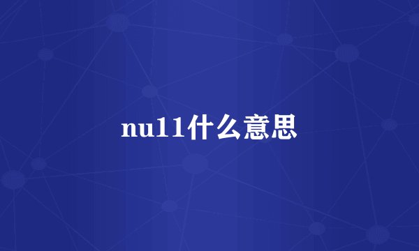 nu11什么意思