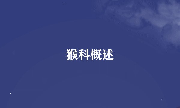 猴科概述