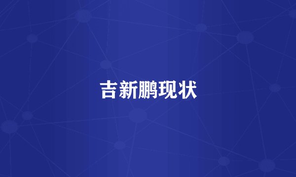 吉新鹏现状