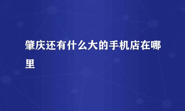 肇庆还有什么大的手机店在哪里
