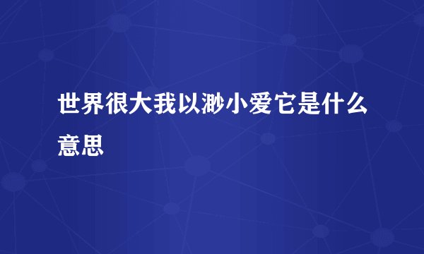 世界很大我以渺小爱它是什么意思