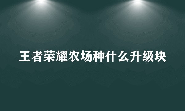 王者荣耀农场种什么升级块