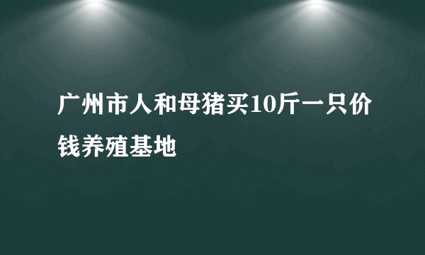 广州市人和母猪买10斤一只价钱养殖基地
