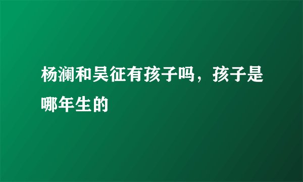杨澜和吴征有孩子吗，孩子是哪年生的